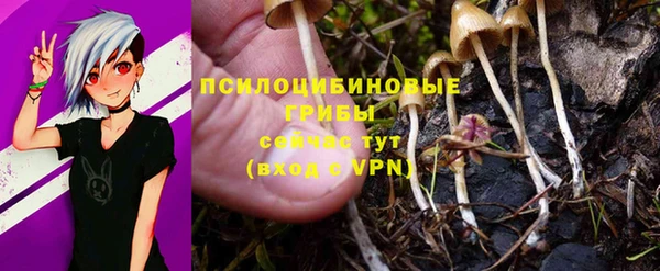mix Аркадак